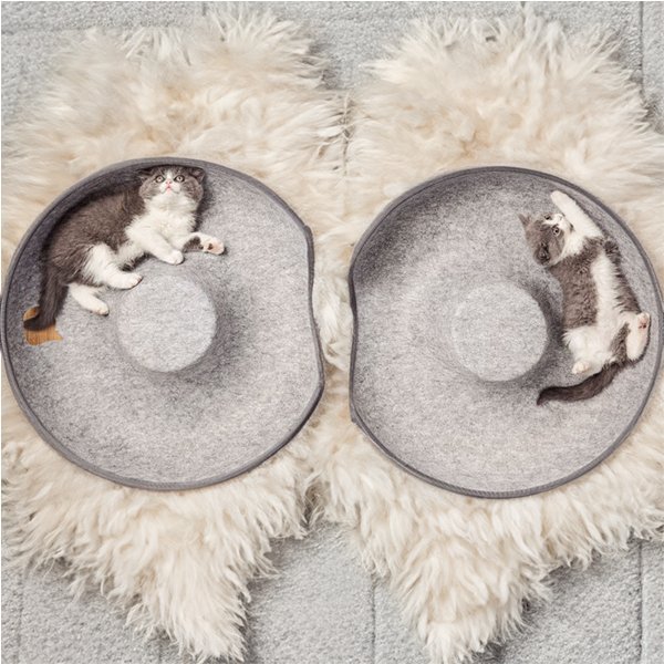 Felynn — Durable Felt Cat Tunnel and Cozy Resting Spot - Image 4