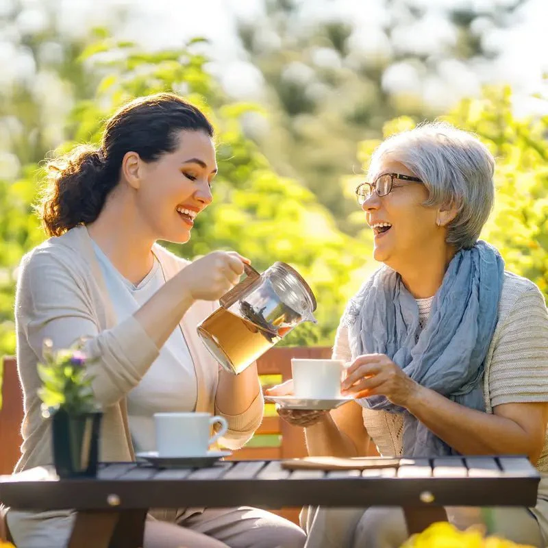 Thermal Glass Tea Brewer - Image 3